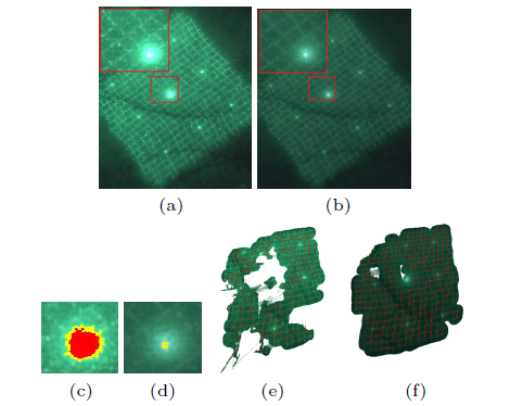 Comparison between the processing results of the original image and the HDR image