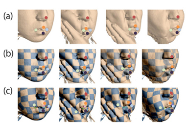 Shape change tracking around the mouth (a)Ground truth, (b)Proposed method, (c) L2+TPS